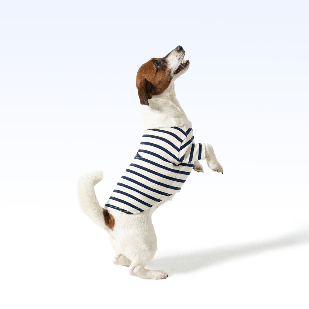 SCIHYC_PARISIAN PUP SHIRT